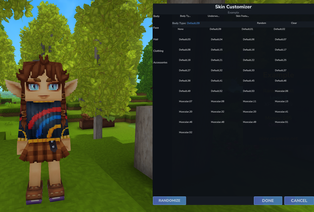 The full Skin Customizer UI